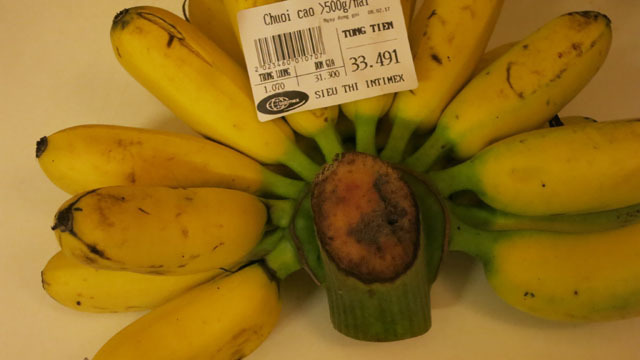 banana.jpg